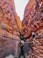 Ein Canyon im Wadi Rum mit Felszeichnungen