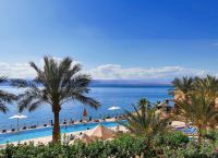 Was würden wir jetzt für einen erneuten Streik der Lufthansa geben ...