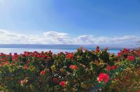 Blick aufs Tote Meer