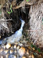 Johannesquelle, Bethanien