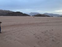 der Morgen in der Wüste