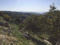 …im grünen Norden