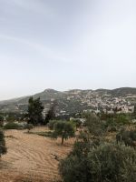12. Fotostopp Festung von Ajlun hoch oben auf dem Berg