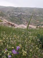 22.4 Kreuzritterburg Kerak