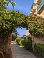 36.1 Hotelanlage Mövenpick Resort & Residences Aqaba