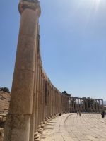 Ausführliche Rundreise im Königreich Jordanien - Die Säulenkollonaden des ovalen Platzes in Gerasa