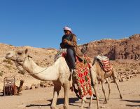 die Kamele kennen den Weg.....