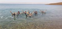 Baden im Toten Meer