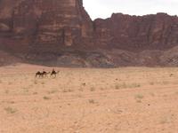 Wadi Rum