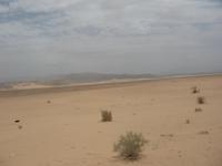 Fahrt zum Toten Meer