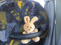 Hier hatte ich noch keine Ahnung das ich mal ein Kamel kennen lerne