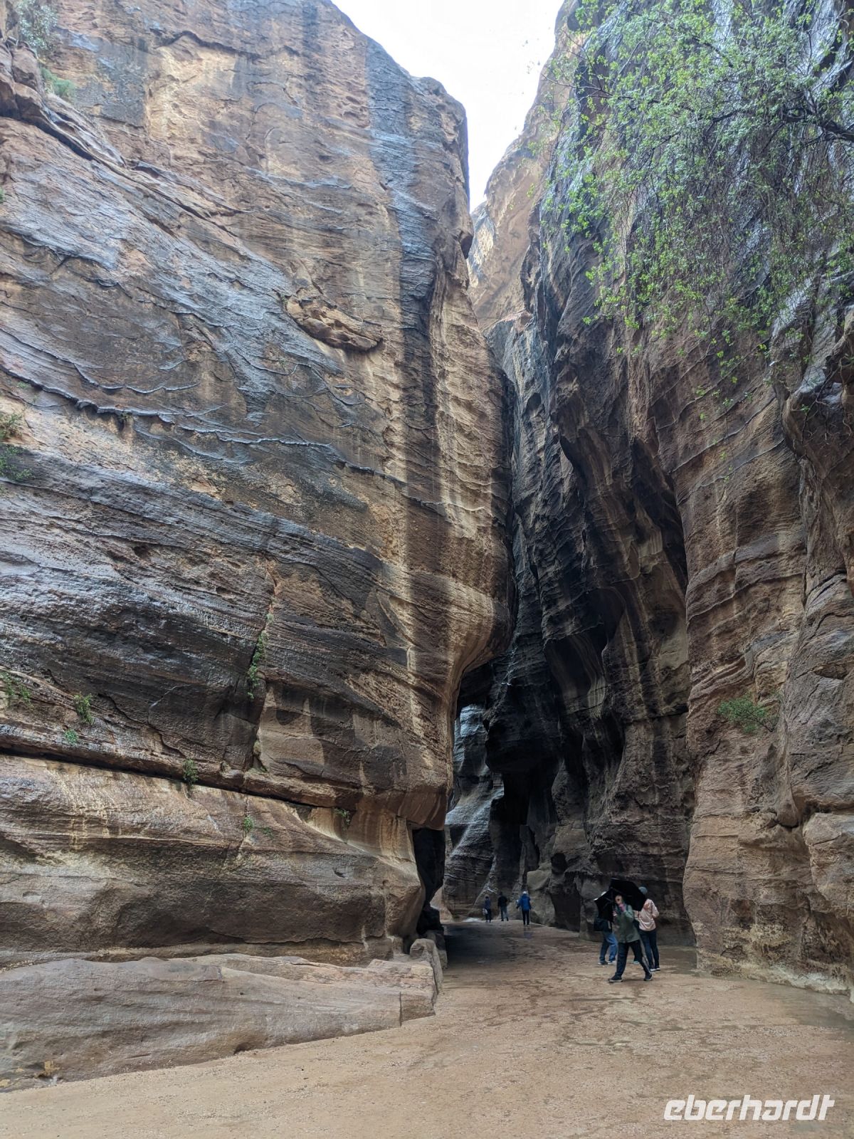 23.5 Petra