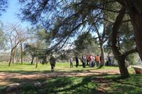 IMG_8190_Natur am Simeonskloster &ndash; &copy; Alice Teipelke (Eberhardt TRAVEL)