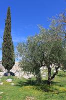 IMG_8194_Natur am Simeonskloster &ndash; &copy; Alice Teipelke (Eberhardt TRAVEL)