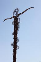 IMG_8684_Moses-Schlange am Mount Nebo Jordanien &ndash; &copy; Alice Teipelke (Eberhardt TRAVEL)