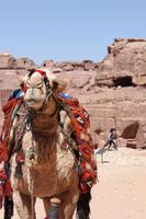 IMG_8764_Bewohner Petras &ndash; &copy; Alice Teipelke (Eberhardt TRAVEL)