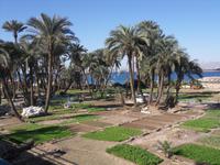 So baut man in Jordanien an