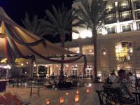 Warme Nächte unter Palmen