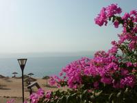 Zugang zum Toten Meer