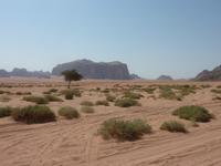 Jeep-Safari im Wadi Rum
