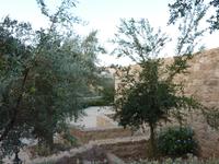 Morgenstimmung in Wadi Musa