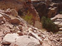 Aufstieg zum Opferplatz in Petra