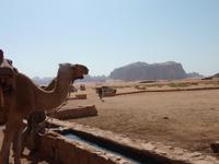 An der Lawrence-Quelle im Wadi Rum