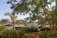 Marina Plaza Hotel in Akaba