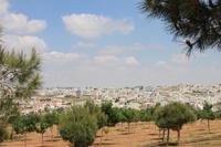 Blick auf Amman