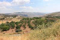 Fürstenhöhlen bei Amman