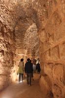 Qalaat ar-Rabad in Ajlun