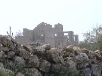 ... bevor er auf seine Säule zog