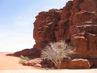 Wadi Rum