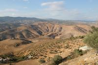 0089 der fruchtbare Norden Jordaniens