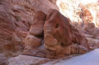 0134 ein Elefant im Siq ;)