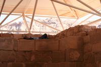 0164 Mittagsschlaf ;)