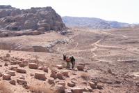 0166 Impressionen aus Petra