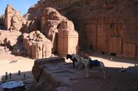 0171 Aufstieg zum Opferplatz in Petra