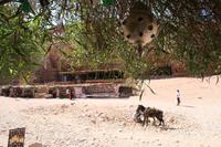 0191 Impressionen aus Petra