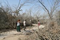 0272 Bathanien jenseits des Jordan