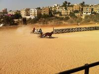 Pferdewagen im Hippodrom