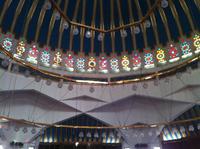 zahlreiche Verziehrungen