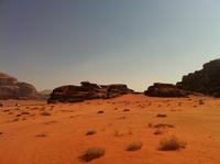 im Wadi Rum
