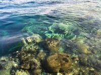 Unterwasserwelt im Roten Meer