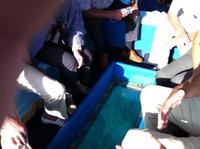 Fahrt mit dem Glasbodenboot