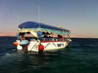 Glasbodenboot auf dem Roten Meer