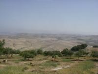 Landschaft in der Region des Berg Nebo
