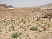 Gruppe auf dem Rundgang in Petra