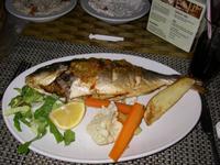 Red Snapper (Hauptgang)