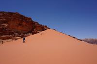 Wer findet die Reisebegleiterin (Fotografin: Evelyn Gradt)